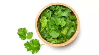 garnishing-instructions-image