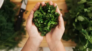 garnishing-instructions-image