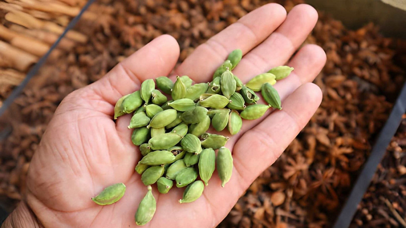 A Brief History Of Cardamom, One Of The Ancient Indian Spices