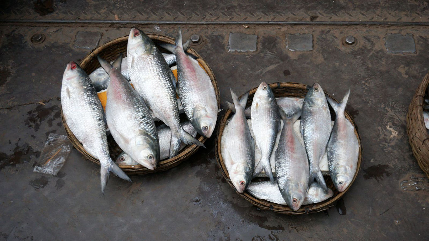 Fresh silver fish arranged in baskets