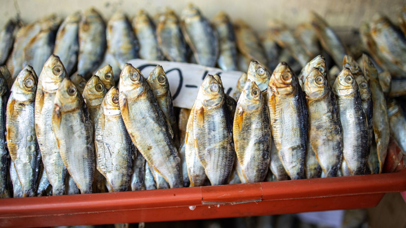 Row of dried fish at market stall