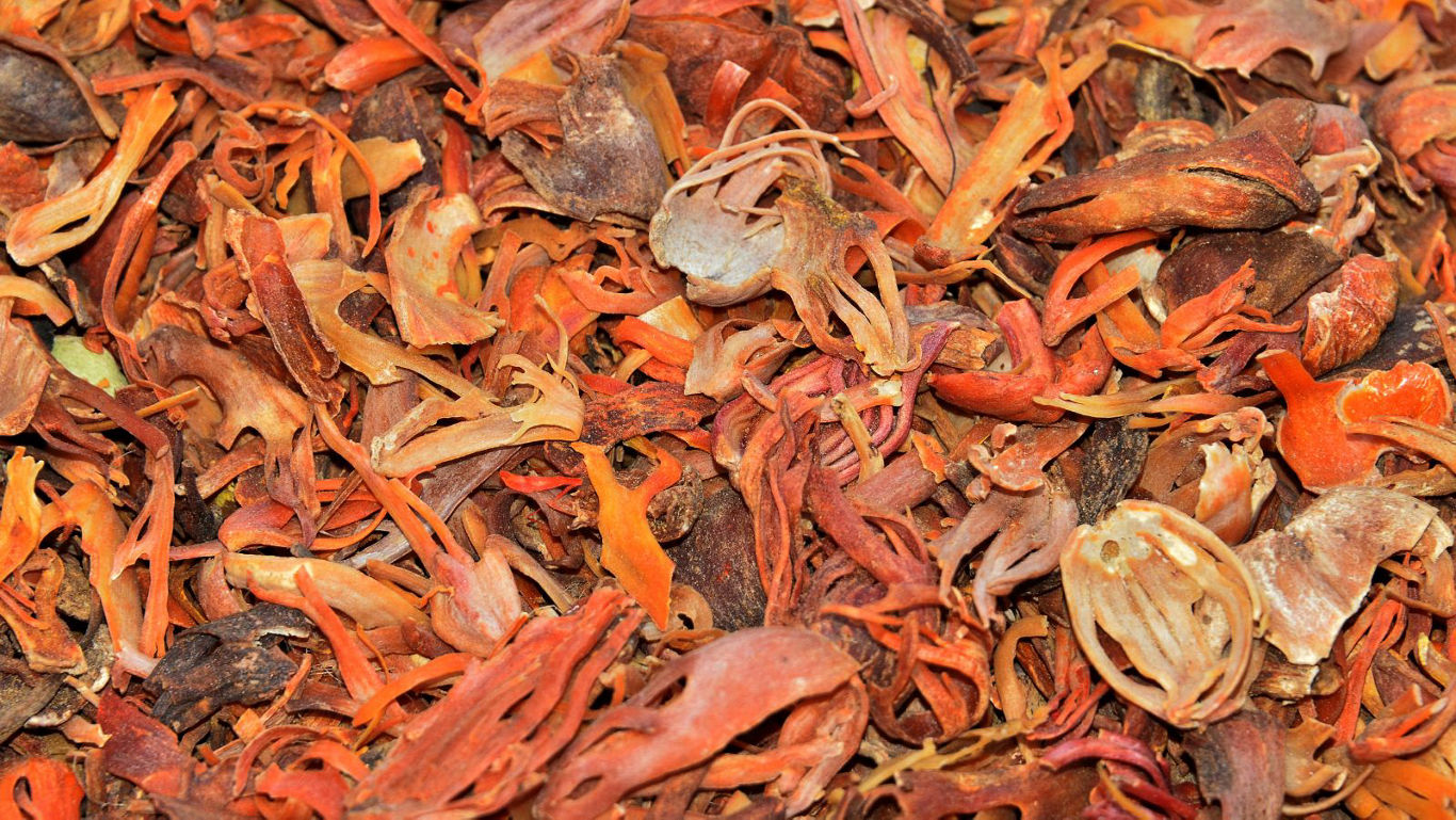Close up of dried mace spice