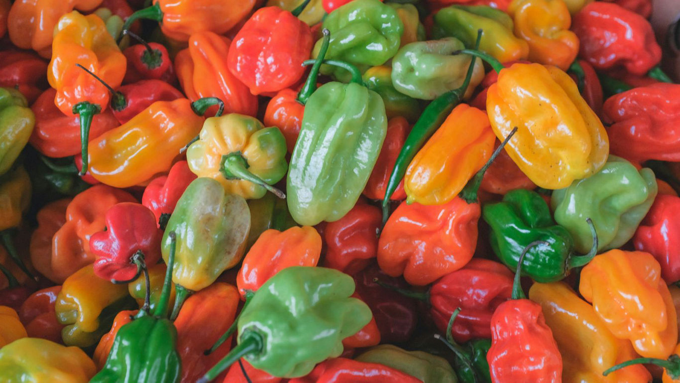 This Cinco De Mayo Know Your Mexican Peppers: Eight Varieties Used ...