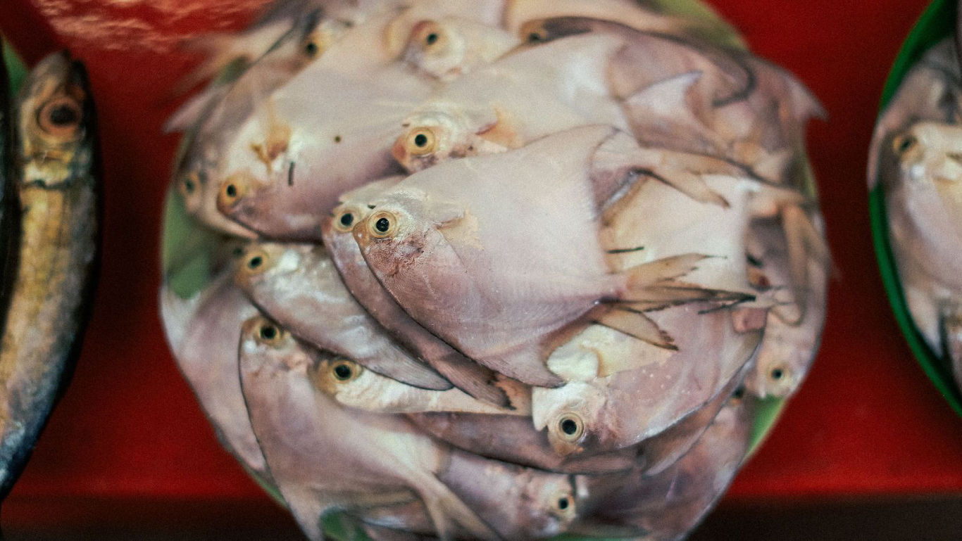 Pile of fresh fish on plate