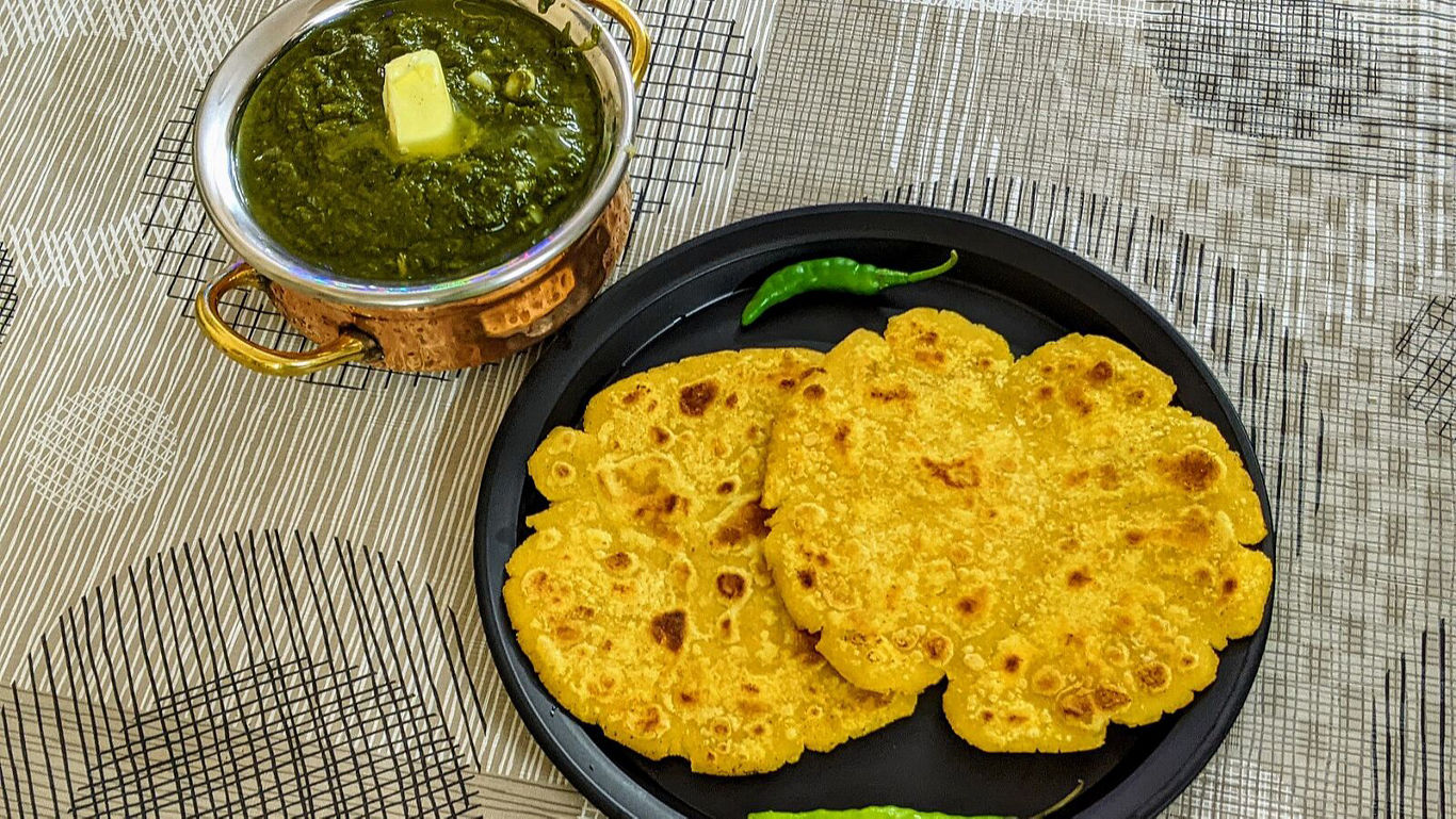 Traditional Indian meal with saag and bread