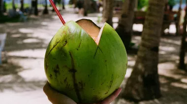 plating-instructions-image