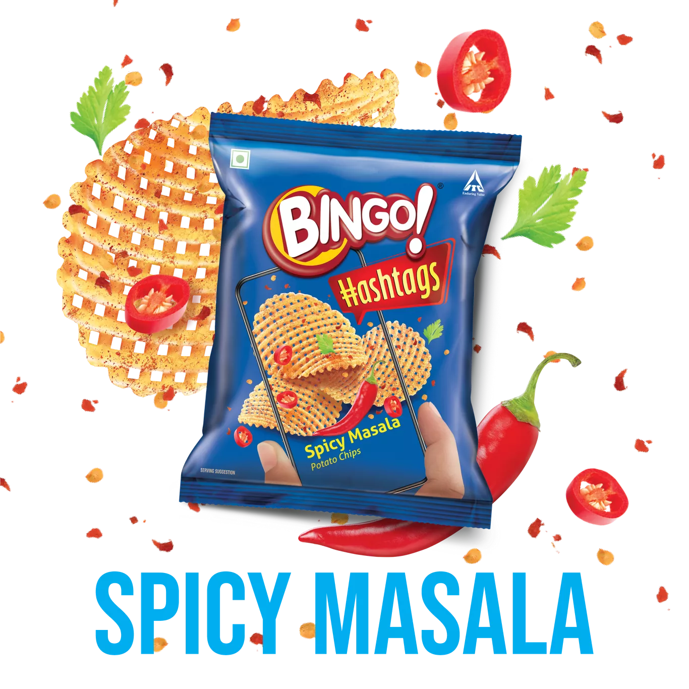 Hashtag Spicy Masala - Bingo Snacks