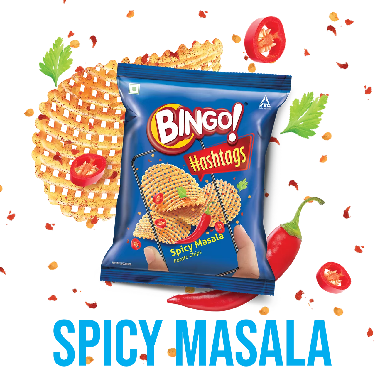Hashtag Spicy Masala - Bingo Snacks