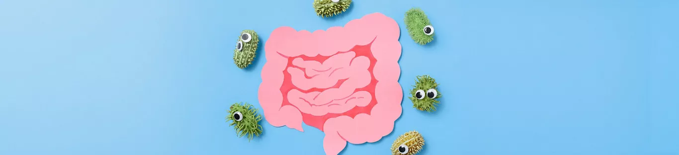 Difference Between Prebiotic And Probiotic | Right Shift 