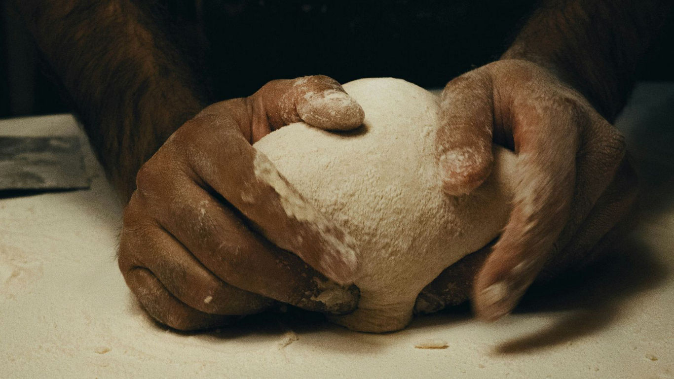 Close-up of hands kneading flour-dusted dough