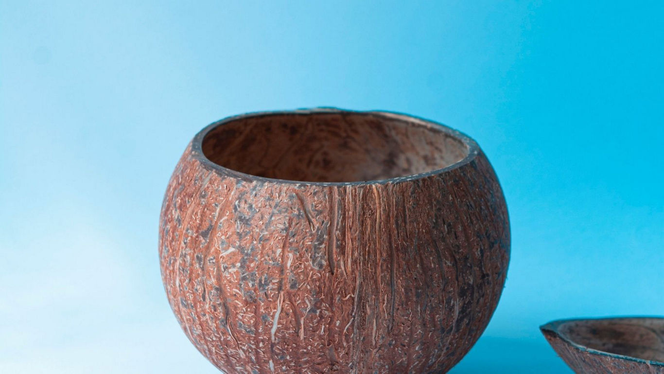 Open coconut shell bowl on blue background
