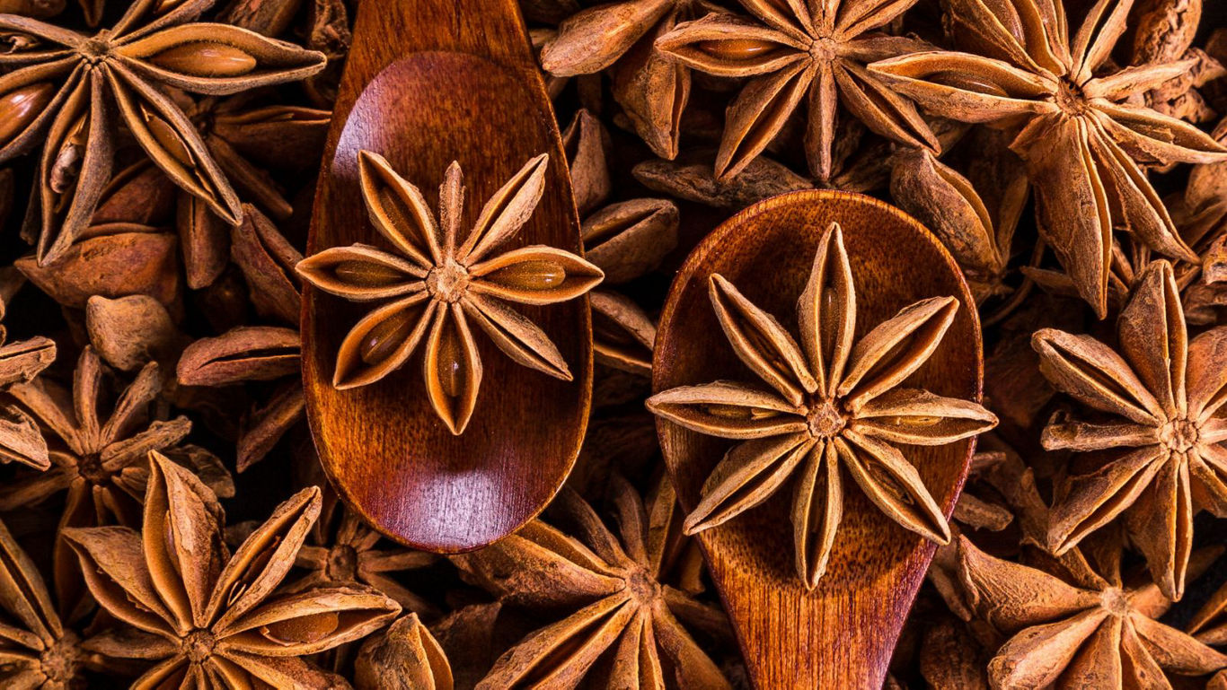 Star anise spice on wooden spoons