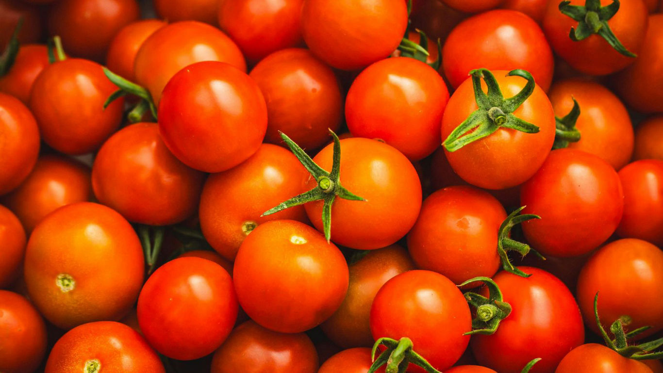 Fresh ripe cherry tomatoes close-up