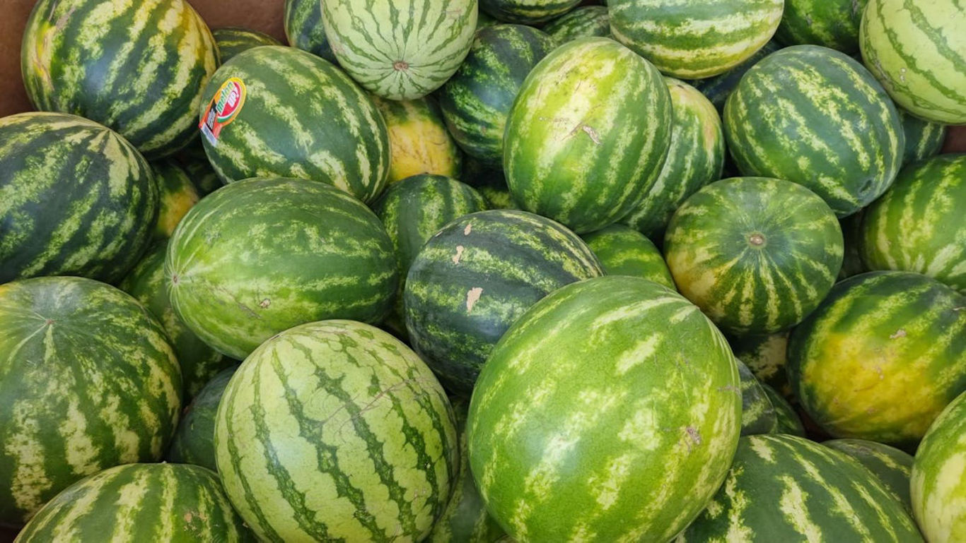 Fresh whole watermelons piled in bulk display