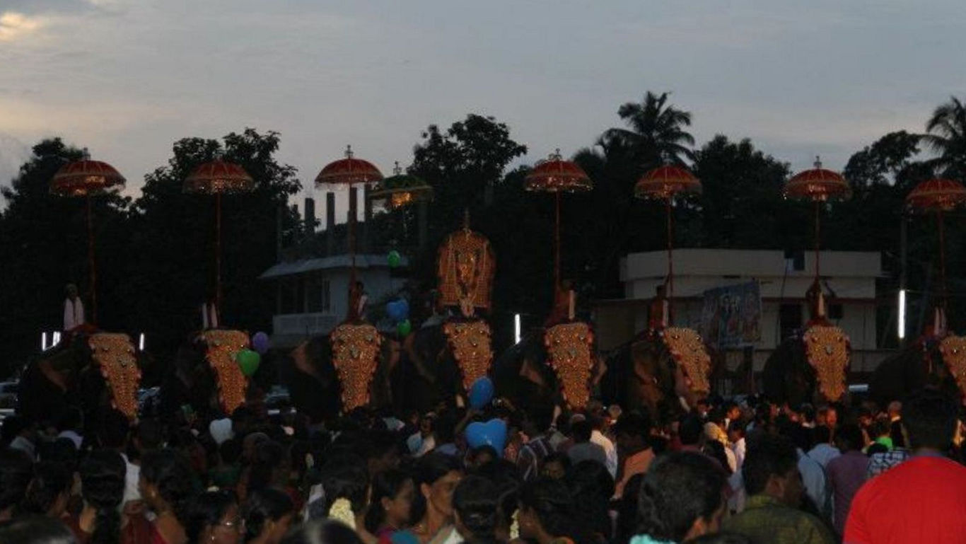 Decorated elephants in evening festival procession