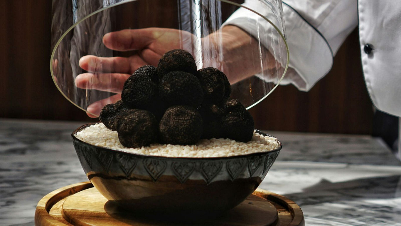 Black truffles displayed in a glass dome