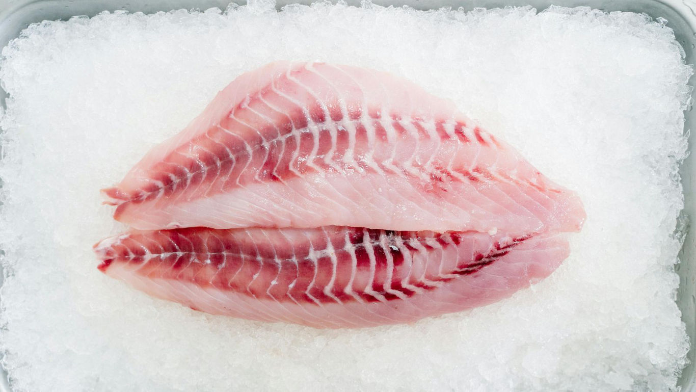 Fresh raw fish fillet on crushed ice
