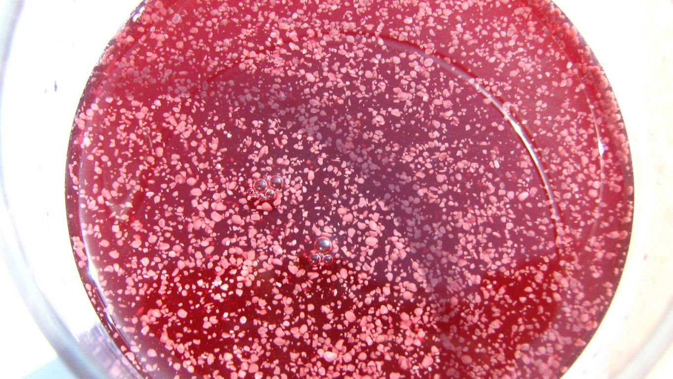 Close-up of red liquid with floating particles
