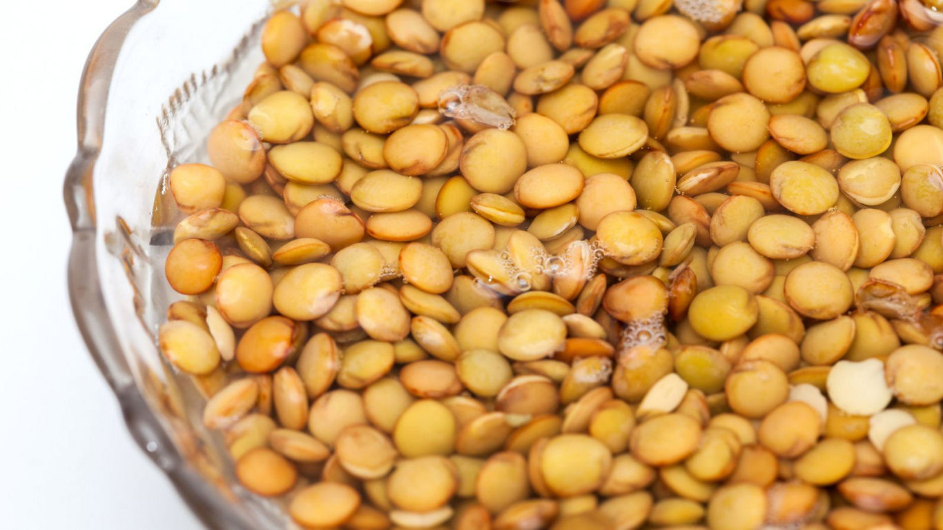 Close-up of Soaked Lentils in Glass Bowl