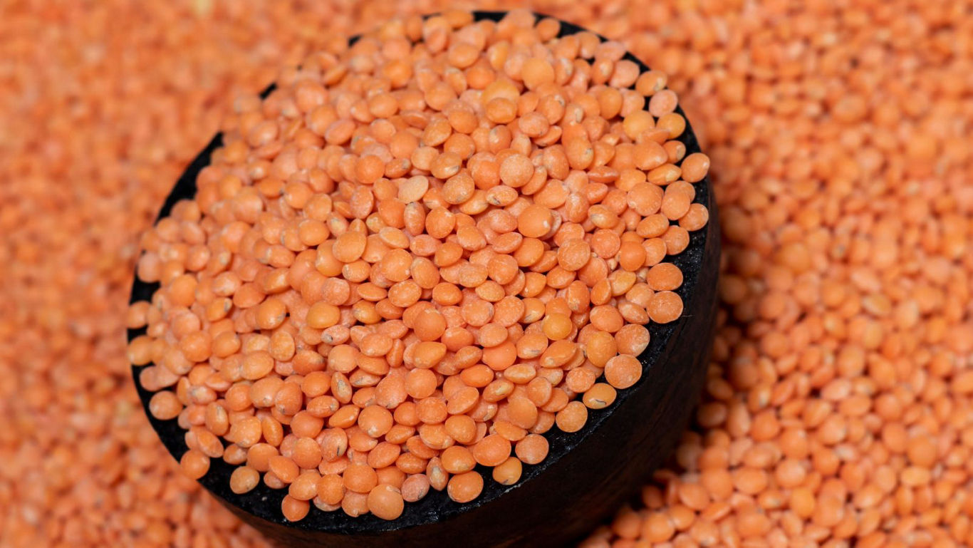 Close-up of red lentils in black bowl