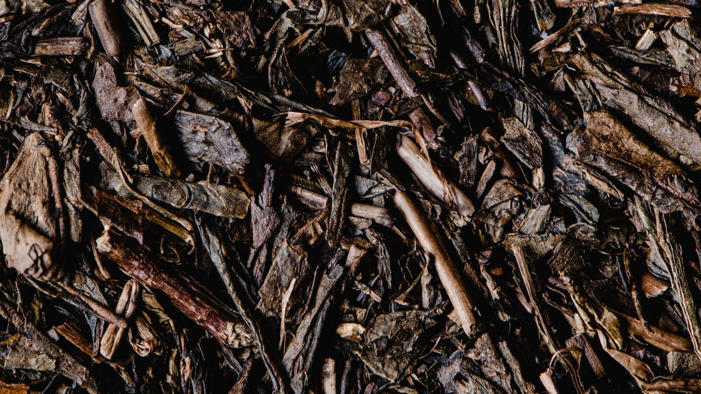 Close-up texture of dark wood mulch