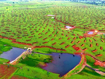 Biodiversity Conservation