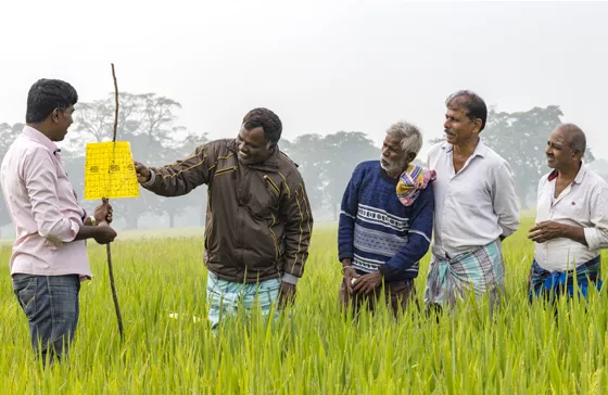 Climate Smart Agriculture
