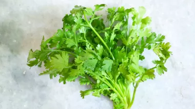 garnishing-instructions-image