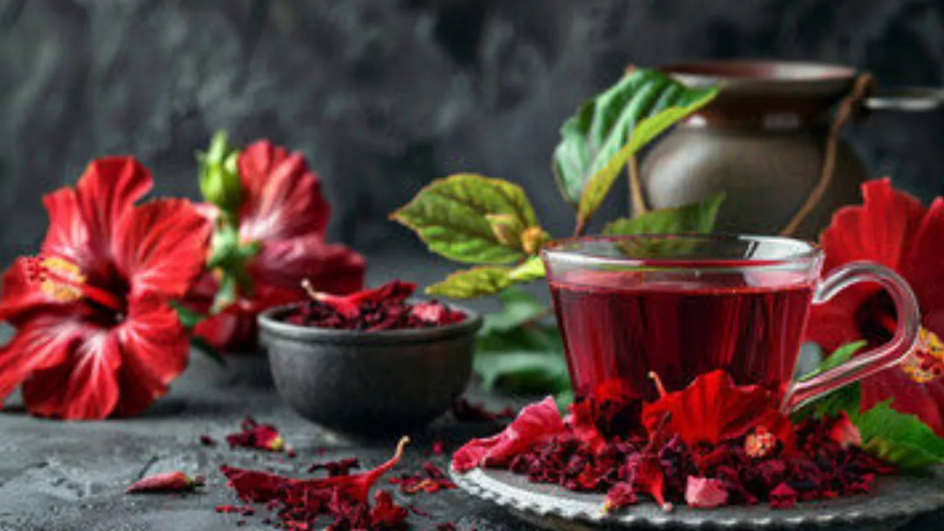 Hibiscus Tea Recipe: How to Make Refreshing Hibiscus Tea