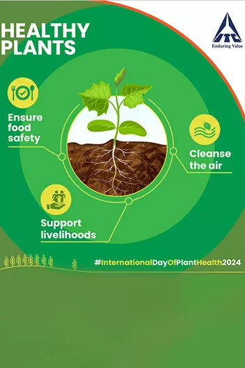 ITC on International