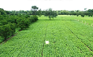 ITC reaffirms commitment to contribute "meaningfully" to India's farm transformation