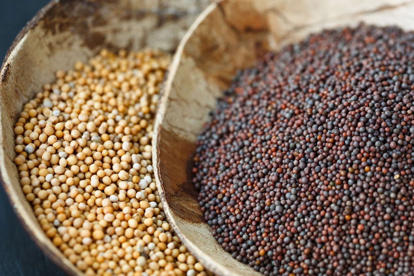 Types of Mustard - Sunrise Spices