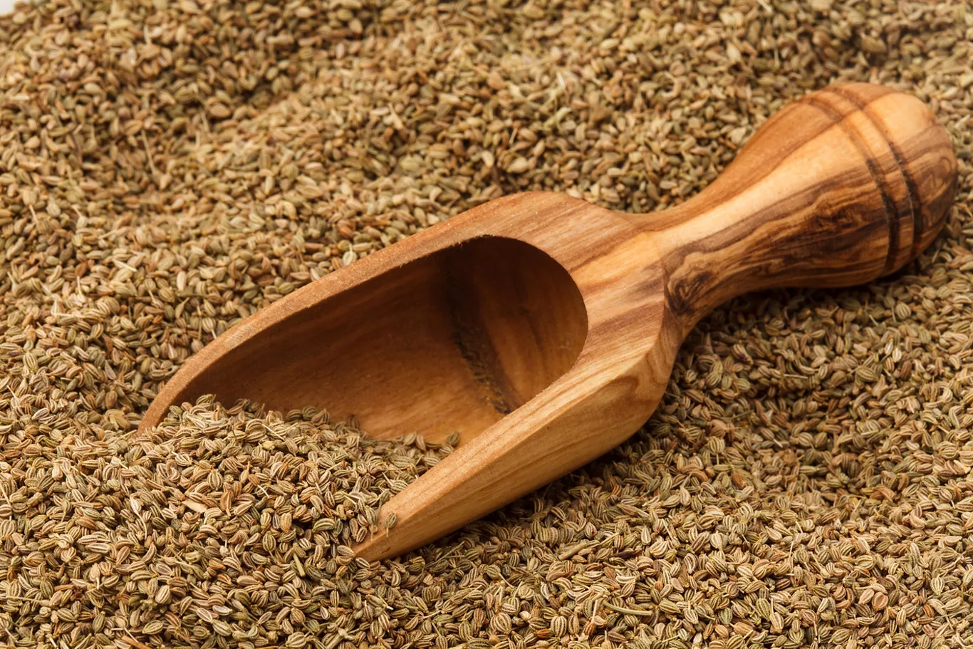 How to use Ajwain - Sunrise Spices
