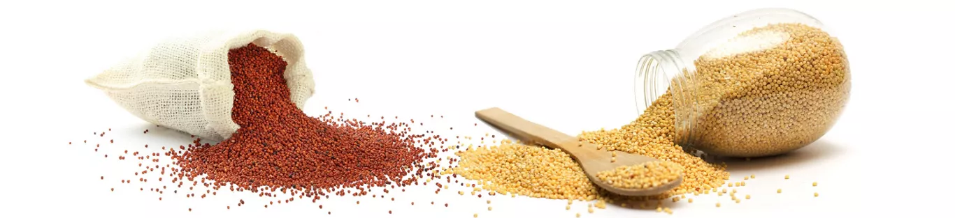 Types and health benefits of millets - Right Shift