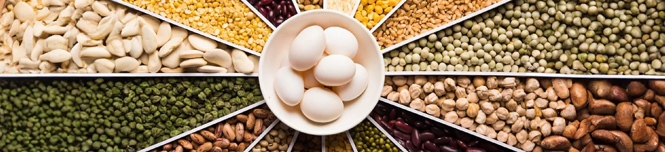 Healthy diet plans for healthy ageing - Right Shift 