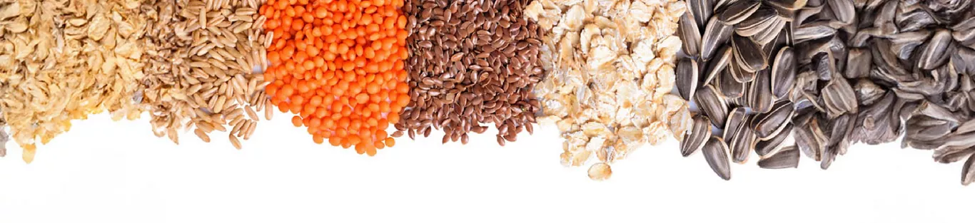 What are prebiotics foods and benefits - Right Shift