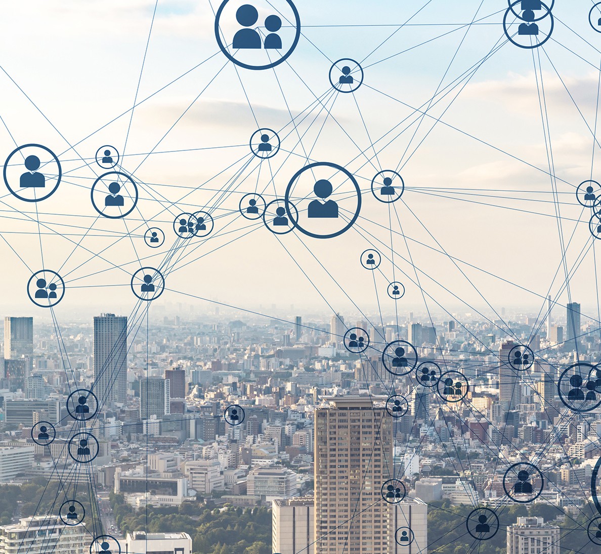 Network Management Service