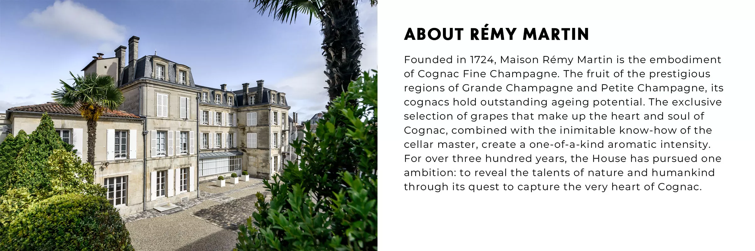 About Remy Martin