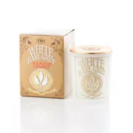 TWG Tea Official Brand Store | Scented Candles | KRISSHOP