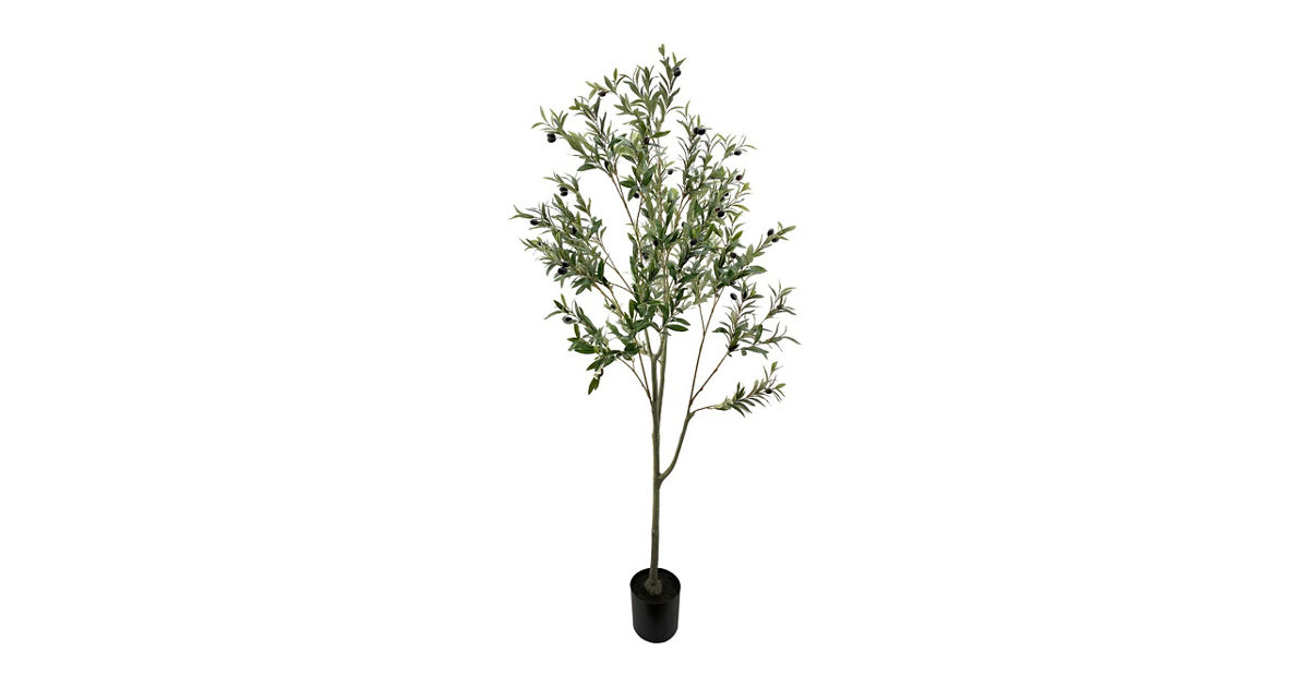 POLLYANNA OLIVE TREE | KRISSHOP - SINGAPORE AIRLINES