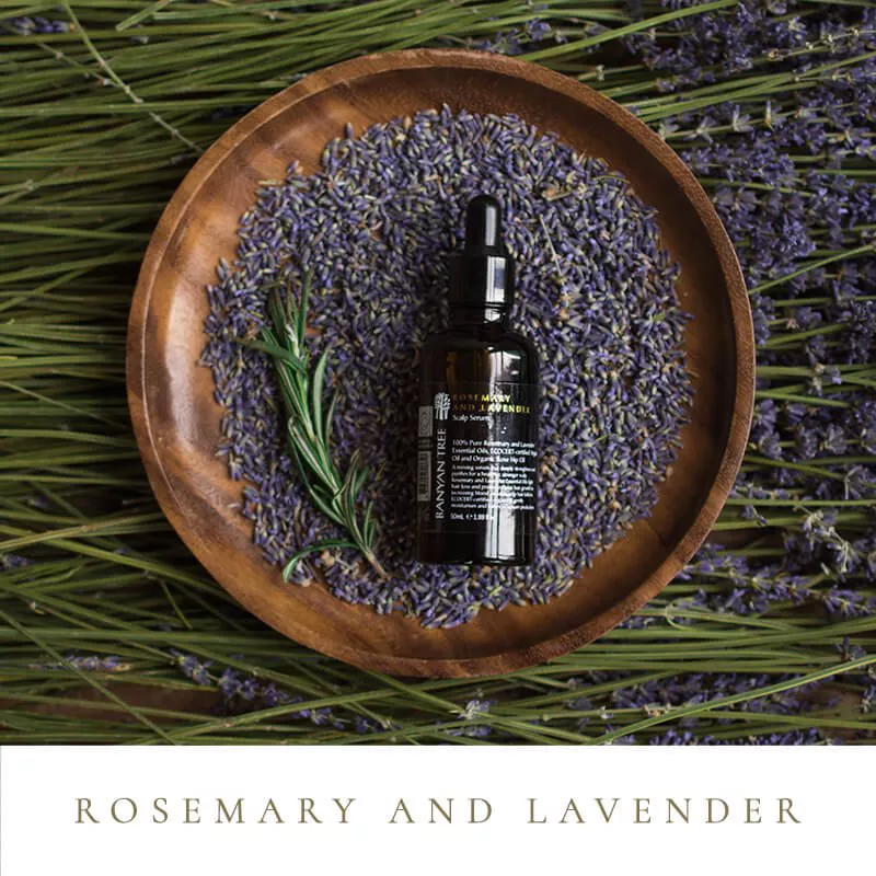 Banyan Tree - Rosemary and Lavender