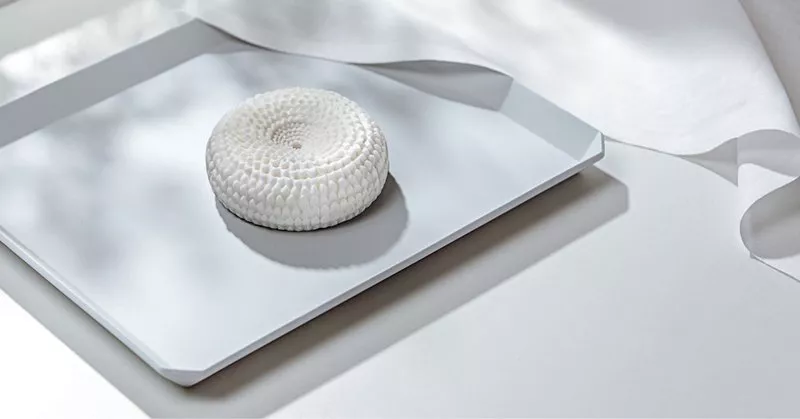 The Next Generation of Bird’s Nest