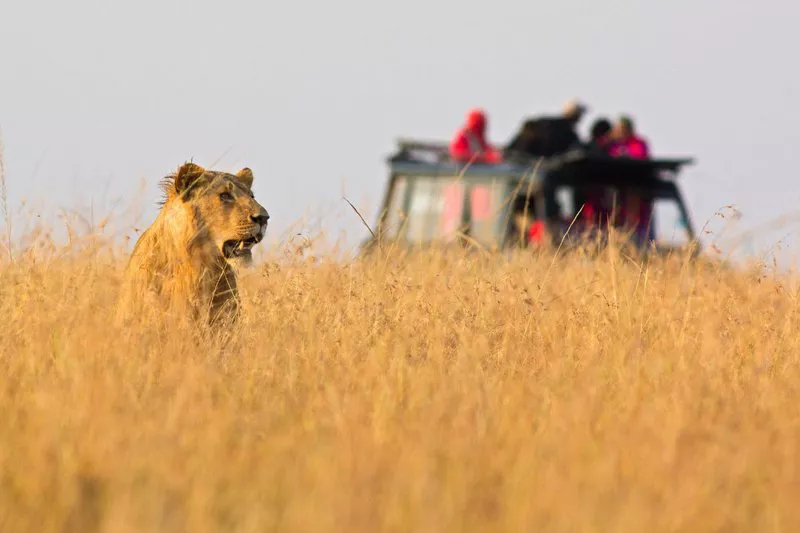 South africa, travel, holiday destinations, travel plan, travel essentials