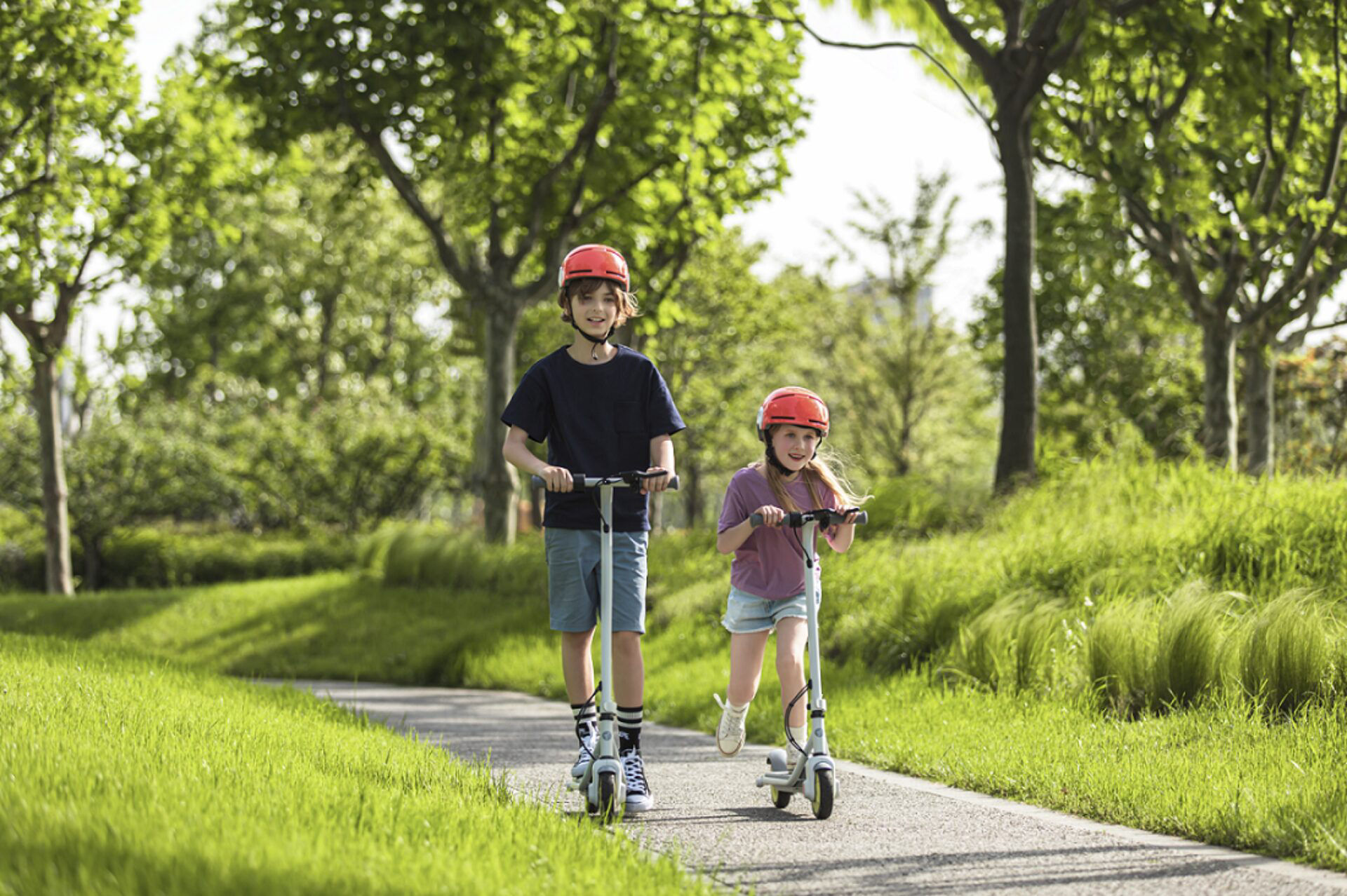 Double tube frame design: strong and durable