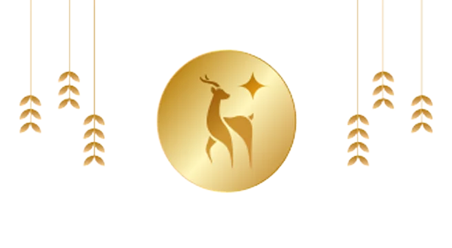 Gold Coin