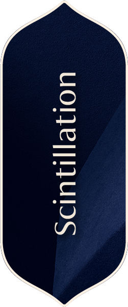 alt image 2