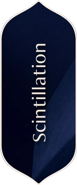 alt image 2