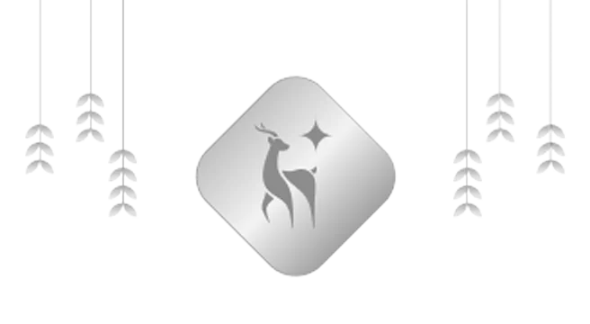 silver coin