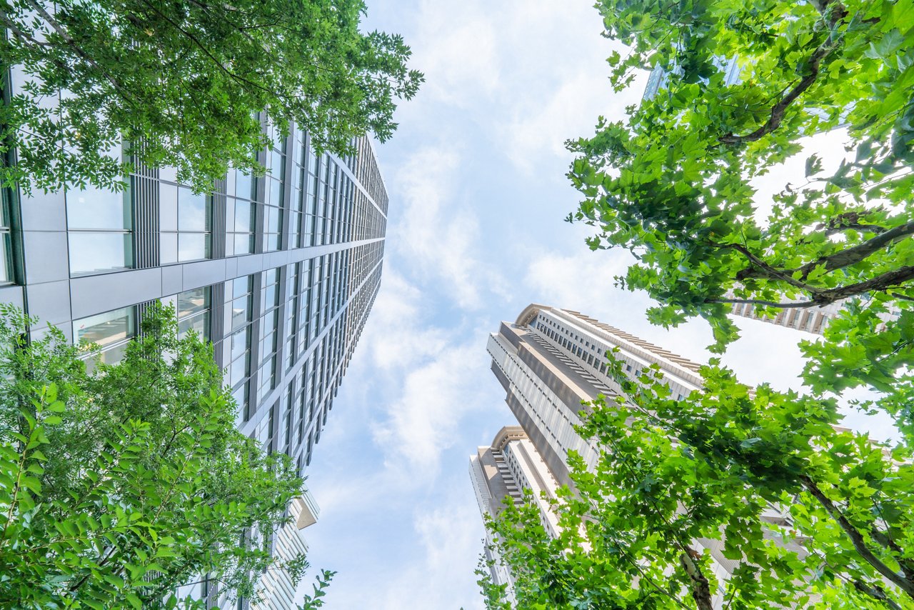 Decarbonising our investment portfolio