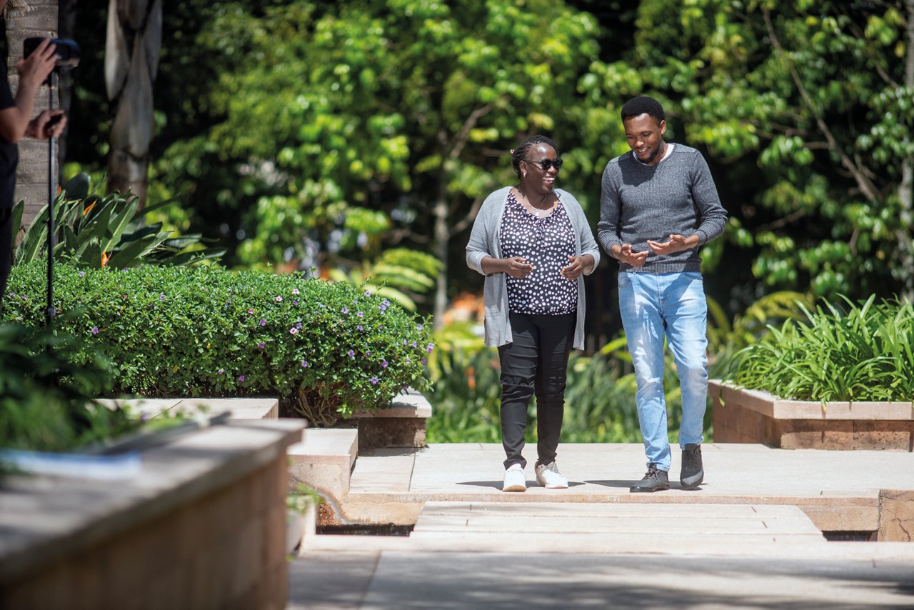 agency and bancassurance